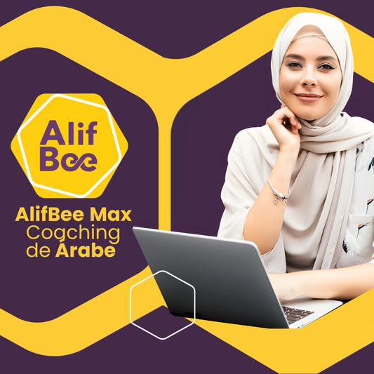 AlifBee Virtual School: Choose Your Learning Style:  Coaching Or Learning With a Teacher