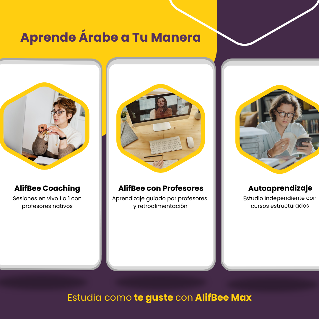 AlifBee Escuela Virtual: Elige Tu Estilo de Aprendizaje: Tutoría o Aprendizaje con un Profesor
