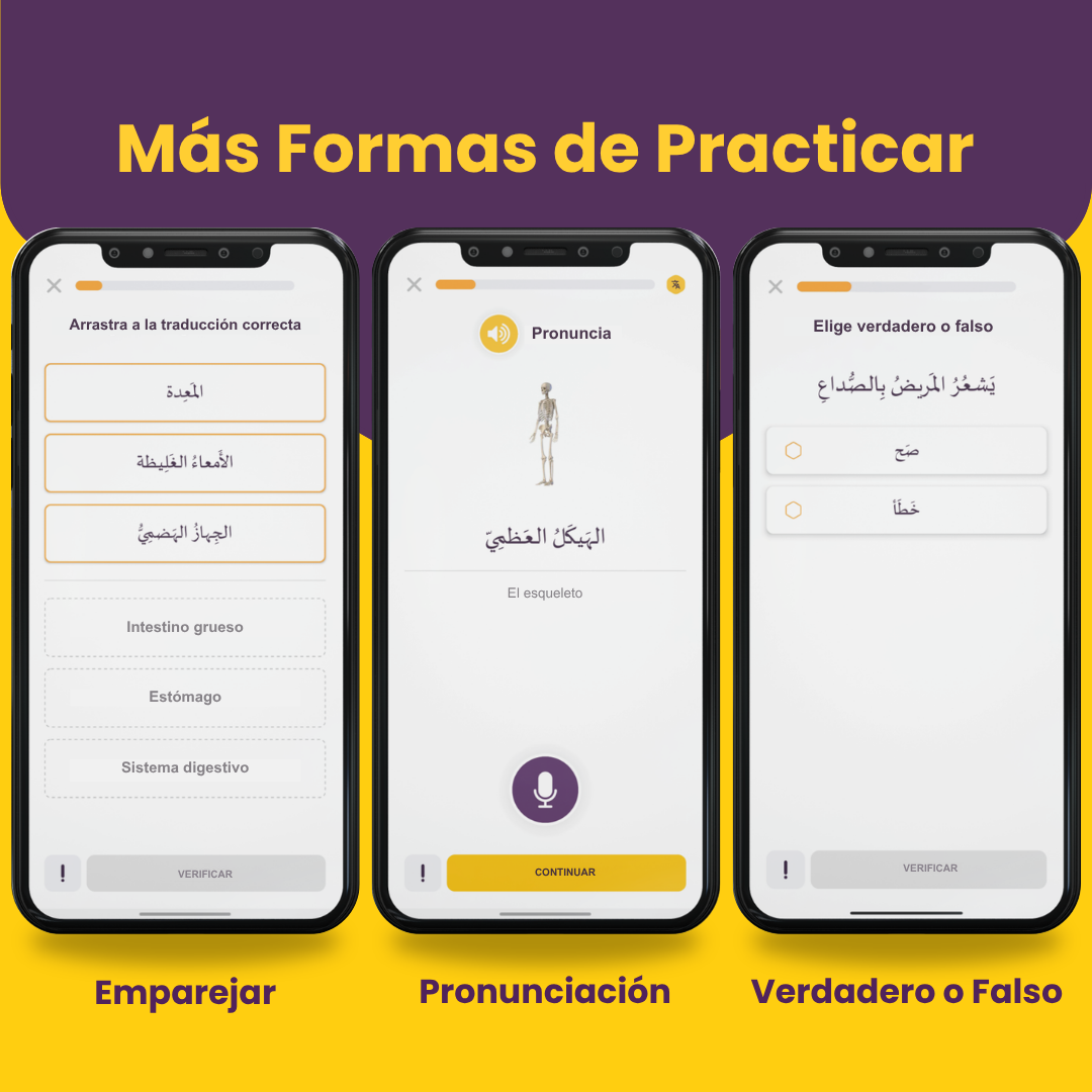 Curso de Árabe Médico de AlifBee para Profesionales de la Salud