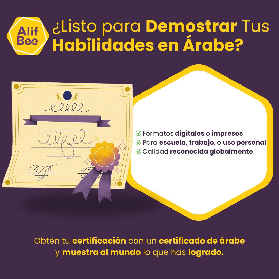 Prueba de nivel de AlifBee: comprueba tu nivel de árabe | Opciones de prueba + certificado