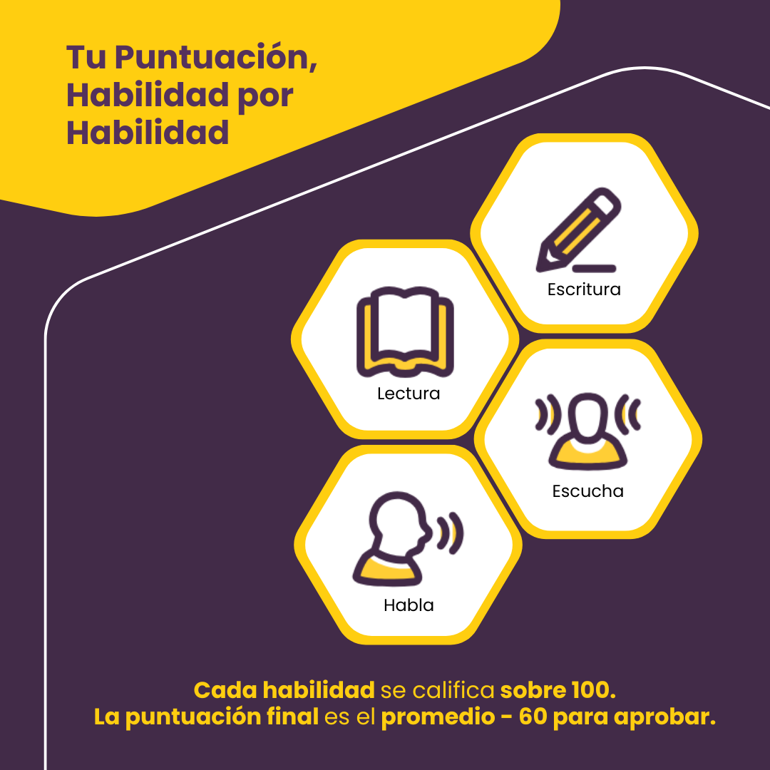 Prueba de nivel de AlifBee: comprueba tu nivel de árabe | Opciones de prueba + certificado